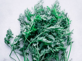 长着绿色顶部的胡萝卜放在白色的桌子上，上面写着字gydF4y2Ba